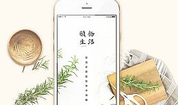 短剧【故人踏月来（60集）张渊元&塔瓦娜】介绍