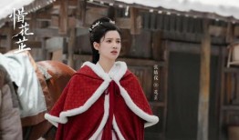 短剧【母爱未晚（69集）解琳&刘奕辰】介绍