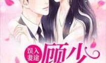 短剧【顾少您夫人又又又飞升了（62集）甜一】介绍