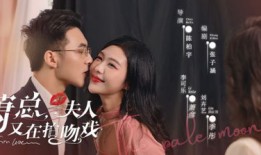 短剧【高手下山我不当赘婿（66集）苏凝&鲜嘉臣】介绍