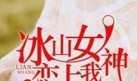 短剧【高手下山老婆是冰山女神(85集)】介绍